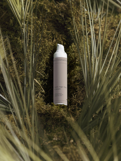 Anti - Ageing Collection Box | Luxury Clean Beauty by REK Cosmetics